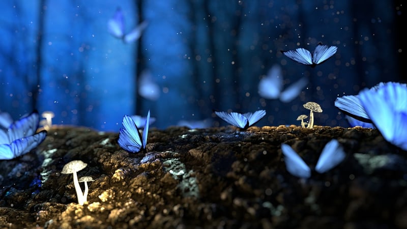 Enchanted Insects